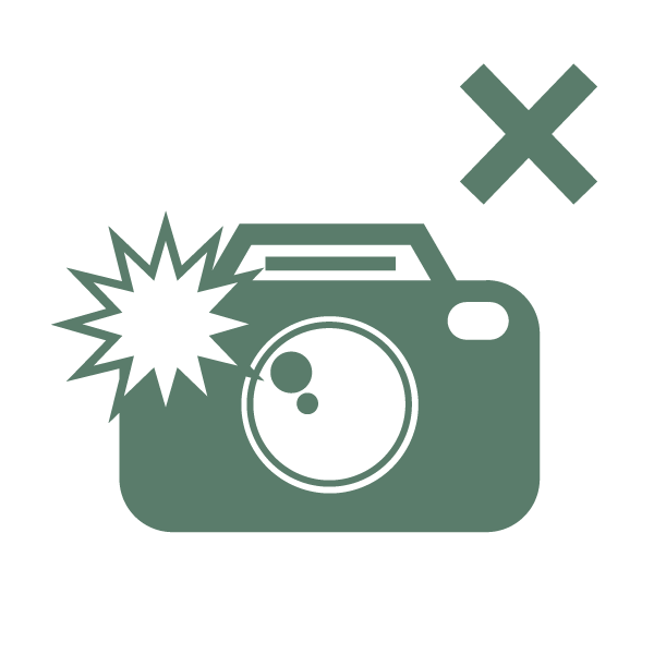 フラッシュOFFのアイコン