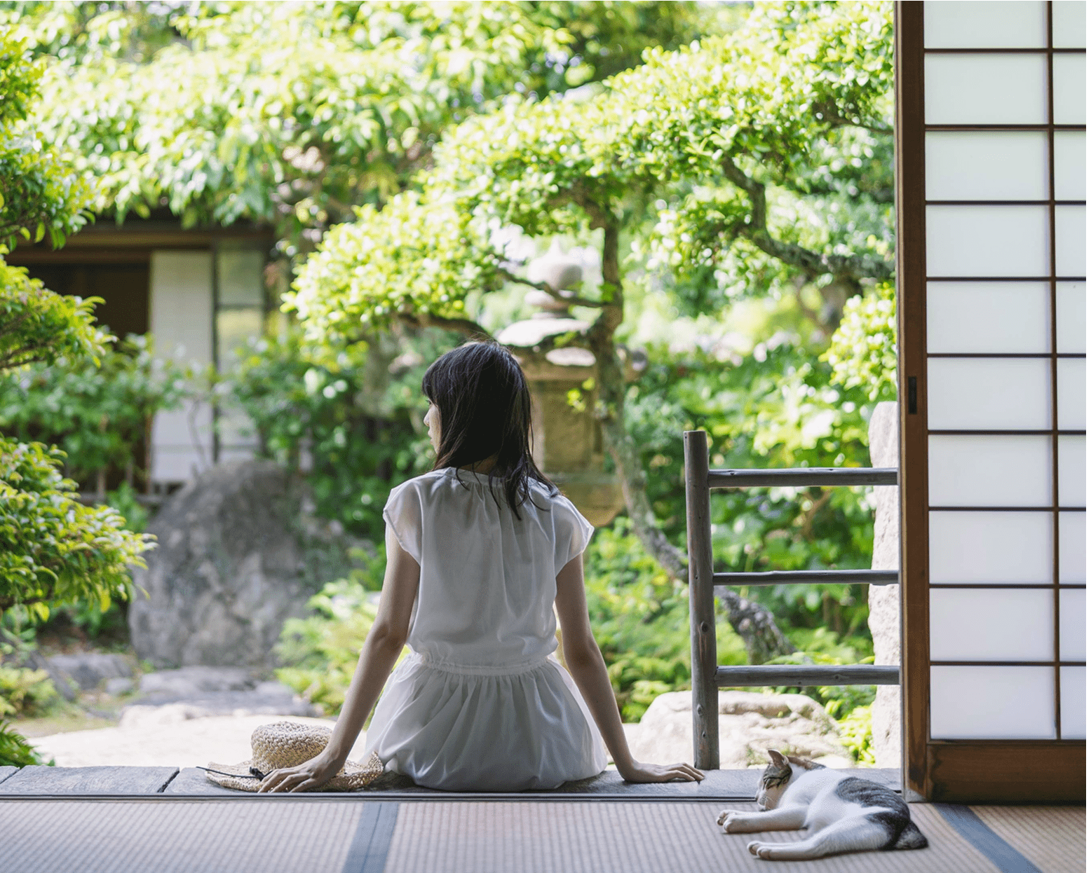 タブレットサイズトップ画像