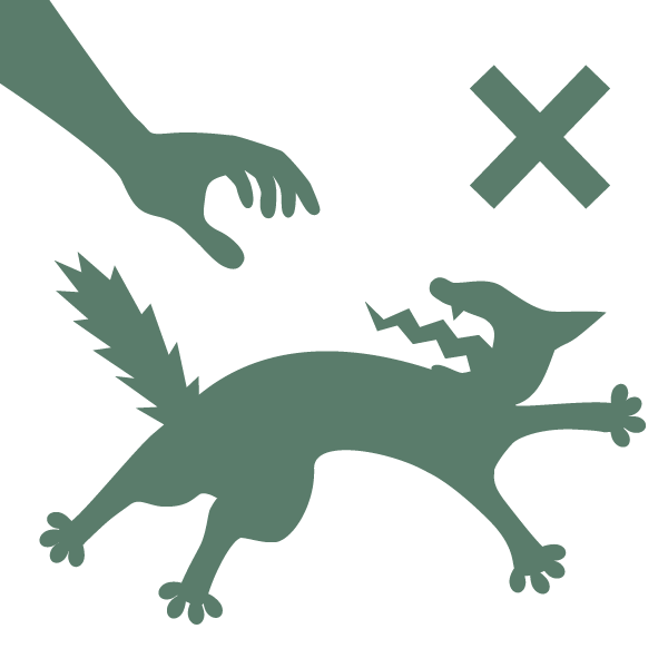 猫を追いかけるの禁止のピクトグラム